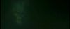 gof_int_trailer_0106.jpg