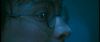 gof_int_trailer_0116.jpg