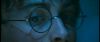 gof_int_trailer_0133.jpg