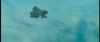 gof_int_trailer_0165.jpg