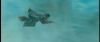 gof_int_trailer_0168.jpg