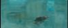 gof_int_trailer_0171.jpg