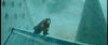 gof_int_trailer_0177.jpg