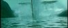 gof_int_trailer_0295.jpg
