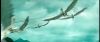 gof_int_trailer_0333.jpg