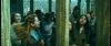 gof_int_trailer_0341.jpg