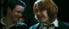gof_int_trailer_0541.jpg