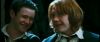 gof_int_trailer_0542.jpg