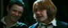 gof_int_trailer_0543.jpg