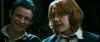 gof_int_trailer_0544.jpg