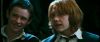 gof_int_trailer_0545.jpg