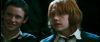 gof_int_trailer_0547.jpg