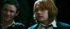 gof_int_trailer_0548.jpg