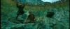 gof_int_trailer_0759.jpg