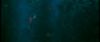 gof_int_trailer_0829.jpg