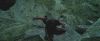 gof_teaser_trailer_403.jpg