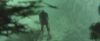 gof_teaser_trailer_520.jpg