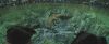 gof_teaser_trailer_530.jpg