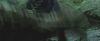 gof_teaser_trailer_536.jpg