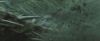 gof_teaser_trailer_541.jpg