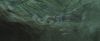 gof_teaser_trailer_543.jpg