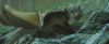 gof_teaser_trailer_550.jpg