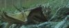 gof_teaser_trailer_551.jpg