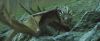 gof_teaser_trailer_552.jpg