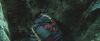 gof_teaser_trailer_553.jpg