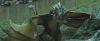 gof_teaser_trailer_559.jpg