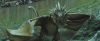 gof_teaser_trailer_561.jpg