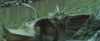 gof_teaser_trailer_562.jpg