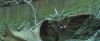 gof_teaser_trailer_563.jpg