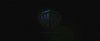 gof_trailer_2_0004.jpg