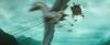 gof_trailer_2_0064.jpg