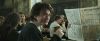 gof_trailer_2_0272.jpg