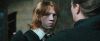 gof_trailer_2_0384.jpg
