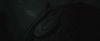 gof_trailer_2_0573.jpg