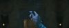 gof_trailer_2_0606.jpg