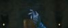 gof_trailer_2_0607.jpg