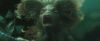 gof_trailer_2_1163.jpg