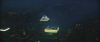 ootp_teaser_trailer_104.jpg
