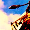 quidditch20.png