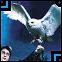 hedwig.gif