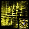 hufflepuff-01.gif