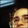 harry-03.jpg