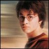 harry-09.jpg