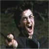 harry-13.jpg
