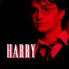 harrypotter121.png