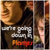 harrypotter14.png